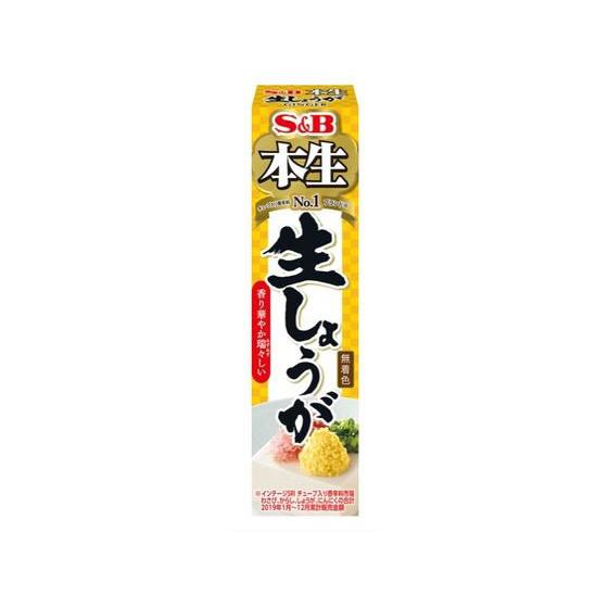 エスビー食品 本生 生しょうが 40g スパイス 香辛料 調味料 食材