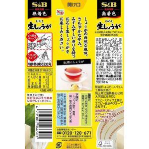 エスビー食品 おろし生しょうが 40g わさび...の詳細画像1