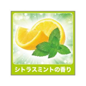エステー ゴミ箱用 消臭力 シトラスミントの香...の詳細画像4