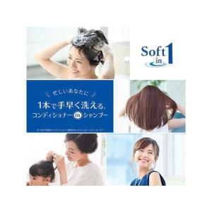 ライオン ソフトインワンシャンプー スッキリデ...の詳細画像2