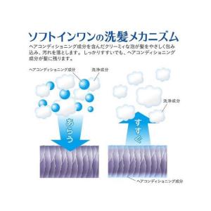 ライオン ソフトインワンシャンプー スッキリデ...の詳細画像3