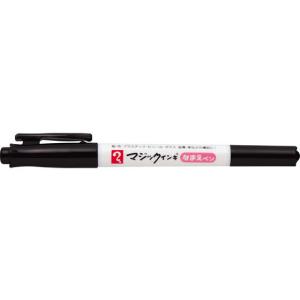 寺西 マジックインキ なまえペン 細・極細書き両用 MNTP-T1 黒 ブラック系 マジックインキ 寺西化学 油性ペン 油性マーカー