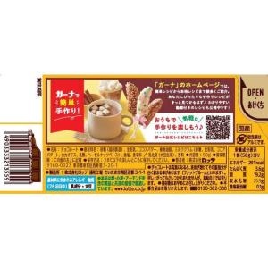ロッテ ガーナ ローストミルク チョコレート お菓子の詳細画像1