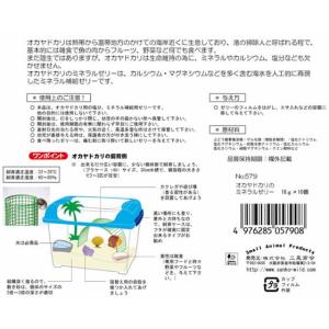 三晃商会 オカヤドカリのミネラルゼリー 16g...の詳細画像2