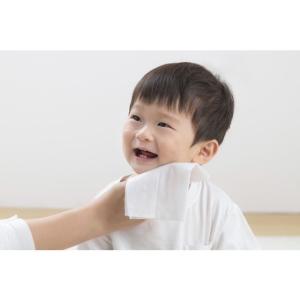 アイリスオーヤマ Genki!おしりふき 厚手...の詳細画像4
