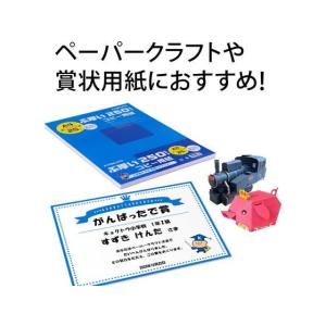 キョクトウ ぶ厚いコピー用紙250g/m2 A...の詳細画像2