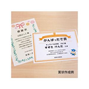 キョクトウ ぶ厚いコピー用紙250g/m2 A...の詳細画像4