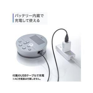 【お取り寄せ】サンワサプライ Bluetoot...の詳細画像5