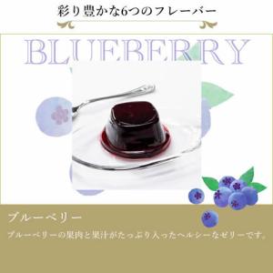 【メーカー直送】銀座千疋屋 銀座ゼリー9個 P...の詳細画像3