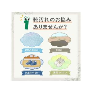 医食同源 拭くノ助 スニーカークリーナーシート...の詳細画像3