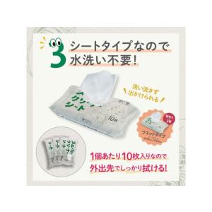 医食同源 拭くノ助 スニーカークリーナーシート...の詳細画像5