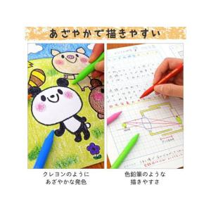 サクラ クーピーペンシル 24色セット(缶入)...の詳細画像3