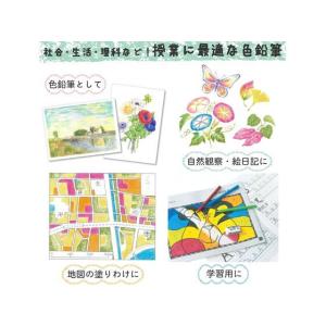 サクラ クーピーペンシル 24色セット(缶入)...の詳細画像5
