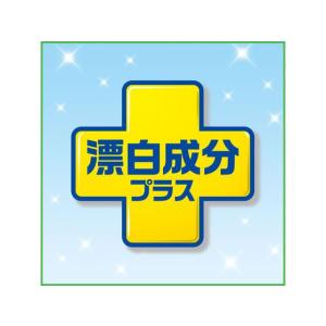 ジョンソン スクラビングバブル トイレスタンプ...の詳細画像5