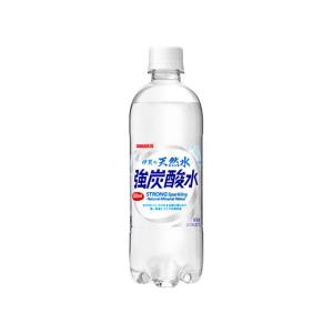 日本サンガリア 伊賀の天然水 強炭酸水 500ml 炭酸水 スパークリングウォーター 水 ミネラルウォーター 飲料｜ココデカウ