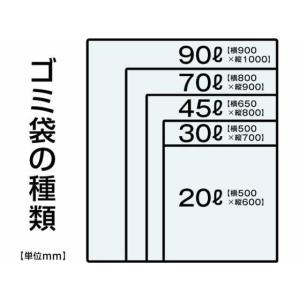 ゴミ袋 透明 30L 10枚 Forestwa...の詳細画像1