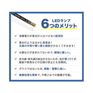 エコデバイス LED直管ランプ20形 昼光色 ...の詳細画像2
