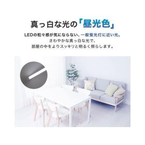 エコデバイス LED直管ランプ20形 昼光色 ...の詳細画像3