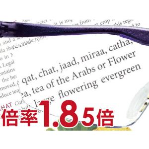 【お取り寄せ】Hazuki ハズキルーペ ラー...の詳細画像1