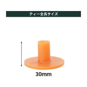 【お取り寄せ】Tabata GOLF タバタゴ...の詳細画像2