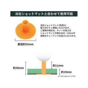 【お取り寄せ】Tabata GOLF タバタゴ...の詳細画像4