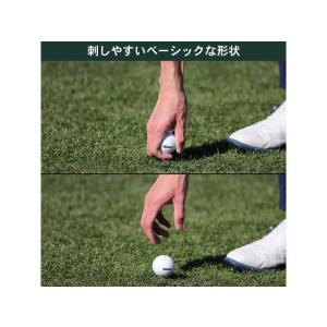 【お取り寄せ】Tabata GOLF タバタゴ...の詳細画像3