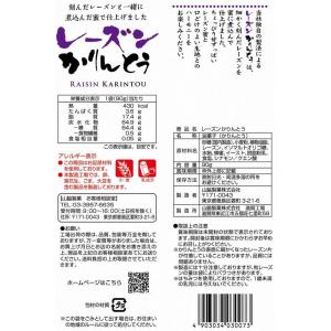 山脇製菓 レーズンかりんとう 90gの詳細画像1