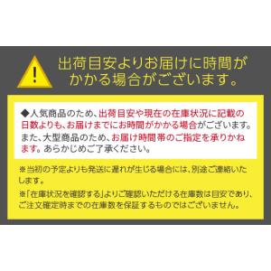 【お取り寄せ】AKRacing ゲーミングチェ...の詳細画像1