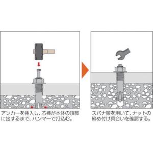 【お取り寄せ】TRUSCO オールアンカーSC...の詳細画像2