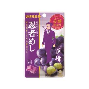 UHA味覚糖 UHA 味覚糖 忍者めし 鉄の鎧 グレープ味 40g ×2袋