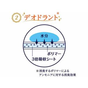 ユニ・チャーム ソフィ Kiyora 贅沢吸収...の詳細画像3