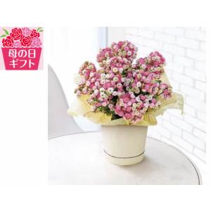 母の日 2025 カランコエ (メイリーブーケ) 【5/7(水) 〜5/11(日)】 フラワーギフトの商品画像