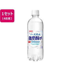 日本サンガリア 伊賀の天然水 強炭酸水 500ml×48本 炭酸水 スパークリングウォーター 水 ミネラルウォーター 飲料