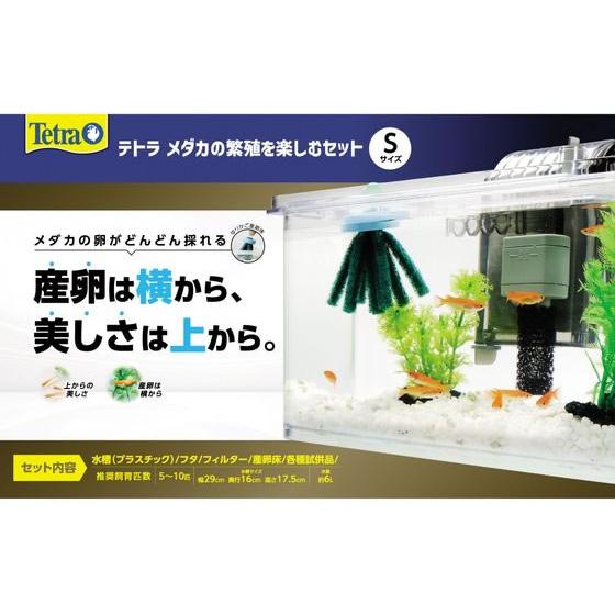 【お取り寄せ】スペクトラムブランズジャパン テトラ メダカの繁殖を楽しむセット S グッズ 観賞魚 ...