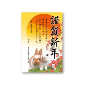 ササガワ/年賀ポスター 干支家族 5枚入/29-392