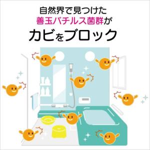 丹羽久 家じゅう置くだけ 防カビビーズ 130...の詳細画像3