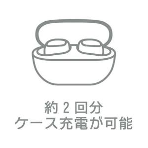 【お取り寄せ】MAKER 防滴ワイヤレスイヤホ...の詳細画像4