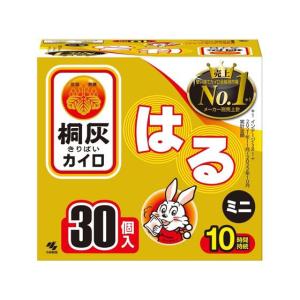 IRIS OHYAMA（アイリスオーヤマ） ぽかぽか家族 貼るレギュラー PKN