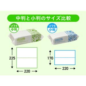 ペーパータオル レギュラー ソフトタイプ 20...の詳細画像2