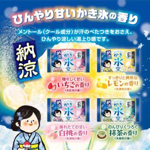 白元アース いい湯旅立ち納涼にごり炭酸湯 かき...の詳細画像1