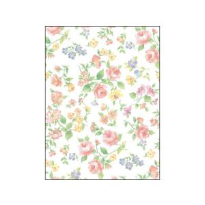 タカ印/包装紙 ロマネスク 全判 50枚/49-2560