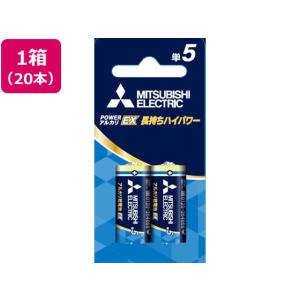 三菱電機 アルカリ乾電池 単5形 20本 LR1EXR 2BP アルカリ乾電池 単５ 家電｜cocodecow