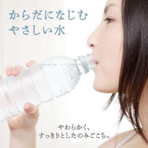 ミツウロコ 富士清水バナジウム & シ...の詳細画像3