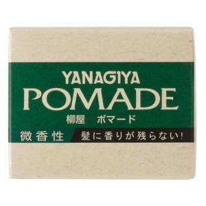 エムジー5 資生堂 MG5 ポマード F 100g : 東京生活館 Yahoo!店