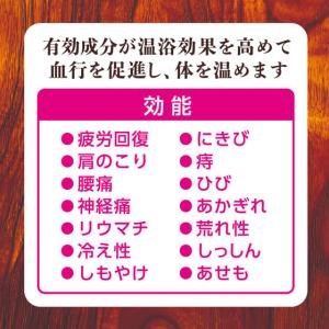 白元アース HERSバスラボボトル サンダルウ...の詳細画像4