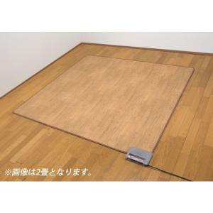 Panasonic（パナソニック） DC-2V5 かんたん床暖 フローリング調ホット