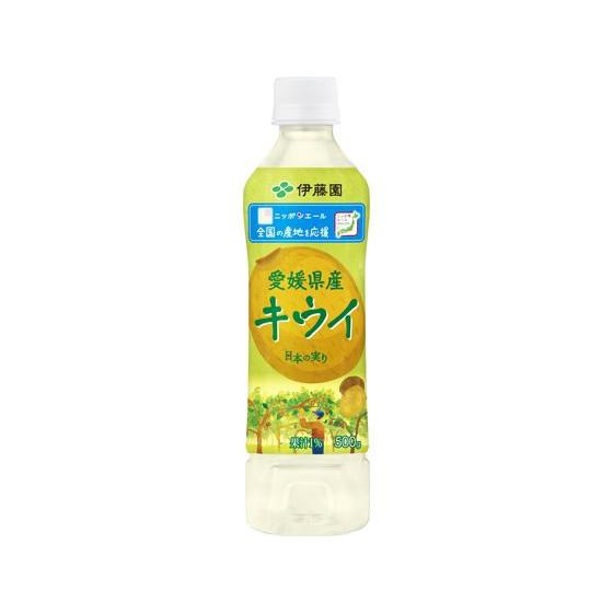 伊藤園 ニッポンエール 愛媛県産キウイ 500g ペットボトル 果実飲料 ジュース 飲料