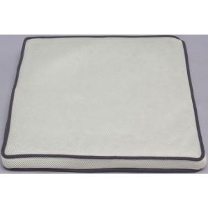 トゥルースリーパー（True Sleeper） 【正規品】新品 低反発座布団