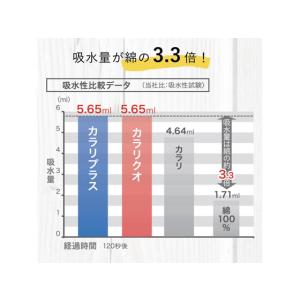 シービージャパン マイクロファイバー カラリプ...の詳細画像3
