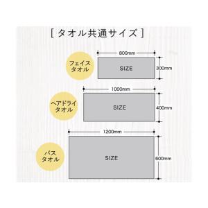 シービージャパン マイクロファイバー カラリプ...の詳細画像4